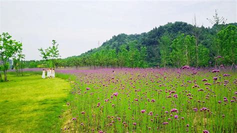 花田路什么时候开工,涿州花田路重启施工