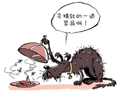 为什么狗狗吃自己的奶,狗狗为什么总吃自己的屎