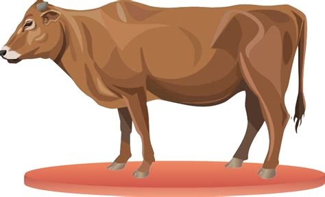 小米5c为什么没有mipay,如何评价小米5C