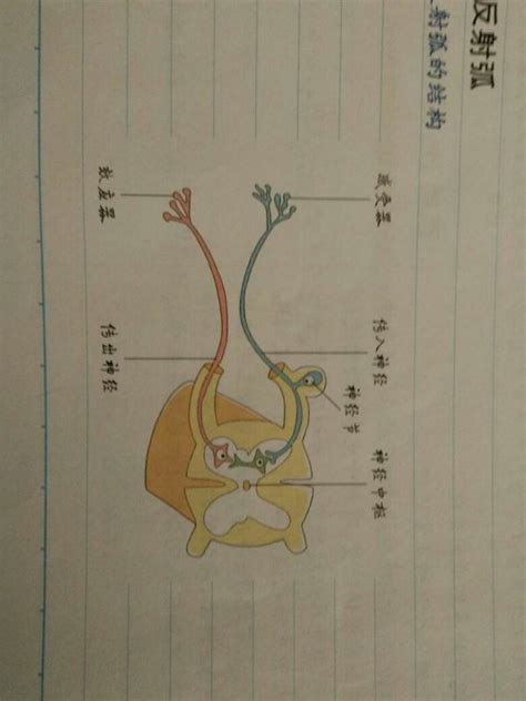 卖肾买苹果手机是买的哪个,都是哪些人群