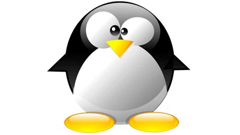 Linux学习教程,liux