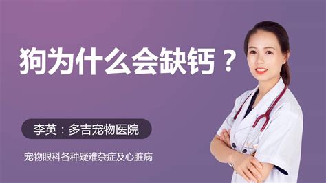 狗为什么会脱毛,狗狗经常脱毛是怎么回事