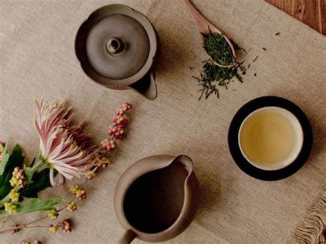 绿茶的品类都有什么,一次性把绿茶的四大类讲清楚