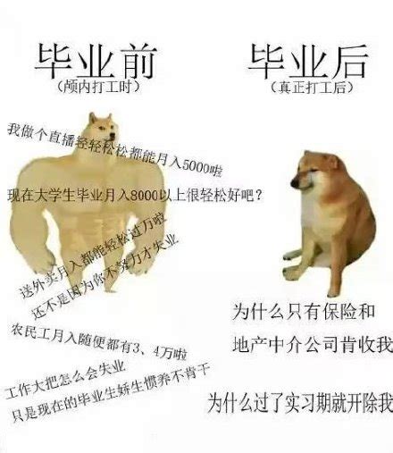 农民工还能做什么,停工返乡的农民工