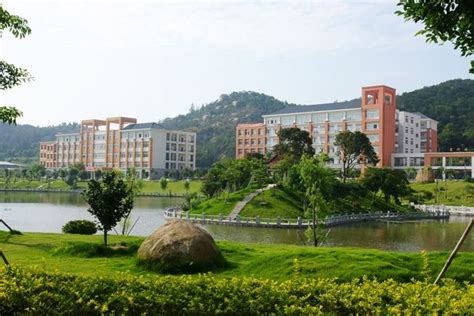 什么时候学习效率最高,什么时候做题效率最高