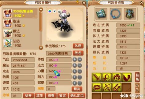 梦幻15开要注意什么,上海骑手的15天