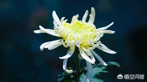 现在一千多的手机哪个最好用 一千多元手机哪个最好