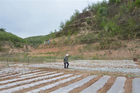 哪里人最能吃苦,你觉得哪个地方的人最能吃苦