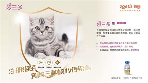 猫咪为什么打防疫针,为什么小时候养猫怎么养都行