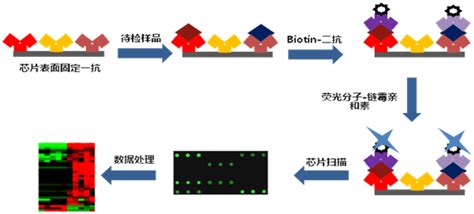 联发科超越高通 高通芯片