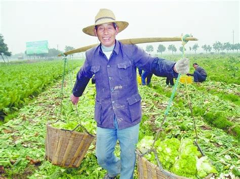 材料工程是什么,学的内容有什么区别呢