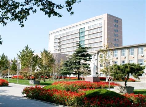 山东农业大学都有什么专业,会计学专业怎么样