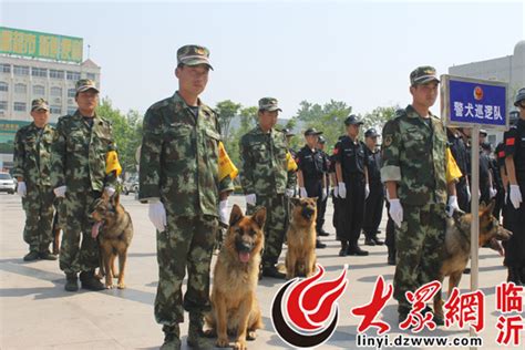 警犬耳号什么样的,英国警犬的发展史