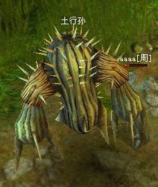 飞段是什么遁,晓组织成员的最强兵器分别是什么