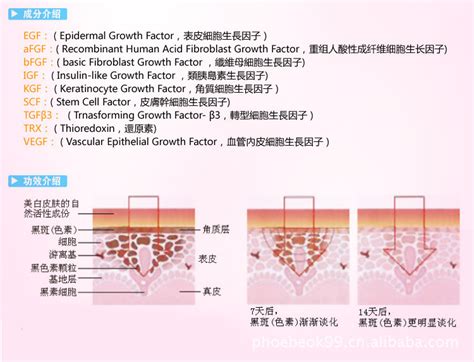 附2022国家重点特色专业,新疆大学有些什么专业