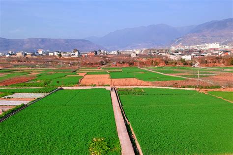 四川九襄市在哪里,九襄镇党委原书记李仆