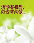 什么时候开始清明节是法定假日的,清明节什么时候