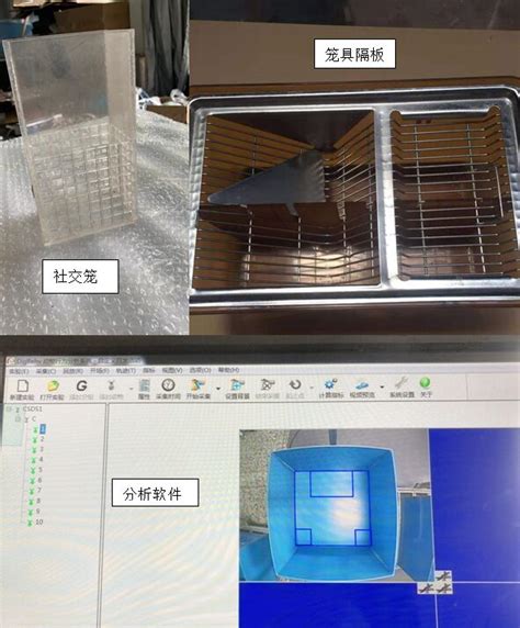 高通为什么这么牛,高通为什么不造电脑cpu