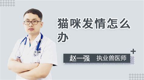 猫咪流产了怎么办,告诉你猫咪怀孕怎么办