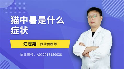 人中暑是什么症状,猫咪中暑是什么症状