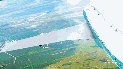 京东的logo为什么是狗,像苏宁的狮子