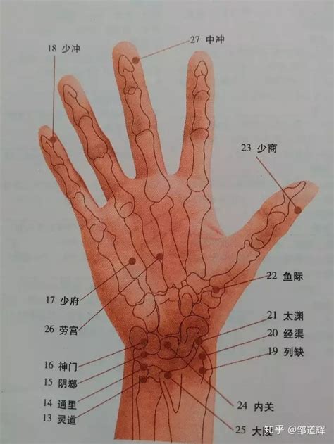 最全经络高清动图,经络图