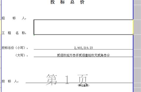 投标时单价写错误怎么办,中标后才发现投标文件错误