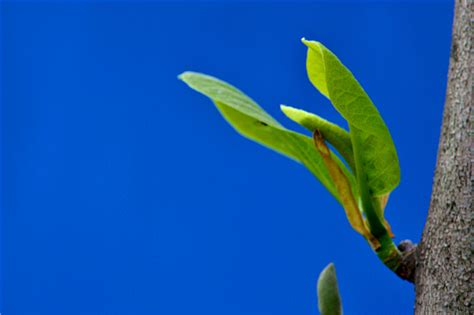 尼康d3100价格,认识尼康镜头型号