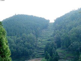 四川省凉山彝族自治西昌市州医保在什么地方,西昌市医疗保障局筑牢基金安全防线