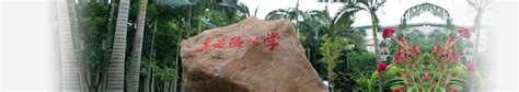 中国采购招标网是什么网,采购招标是什么工作