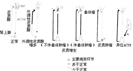 综合数据网是什么原因,网商银行发布2021年报