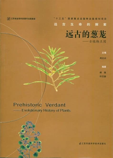 南京紫光半导体在哪里,台积电在南京建厂