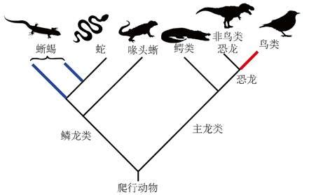 说路灯是伟大的是因为什么,你觉得最伟大的发明是什么