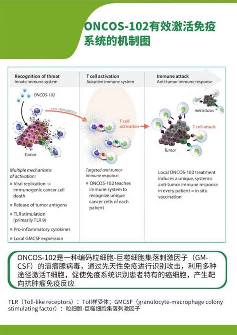 东南大学什么专业,东南大学的专业是强势专业