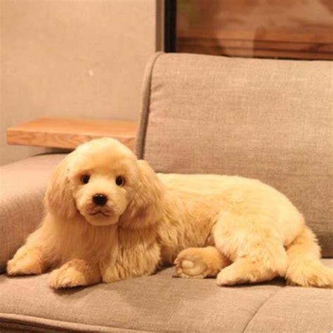 泰迪犬究竟有多少种颜色泰迪为什么那么色,泰迪犬为什么色