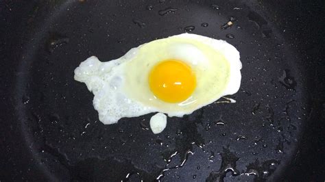 鸡蛋怎么来的,中国年产5660亿个鸡蛋