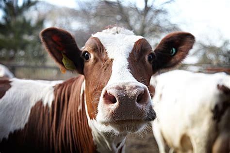 为什么喜欢日本动画,你为什么会喜欢日本动画