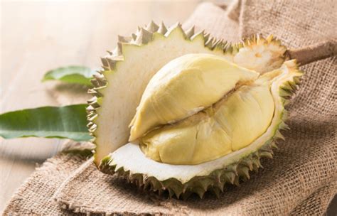 吃进塑料袋怎么办,都往碗里套个塑料袋