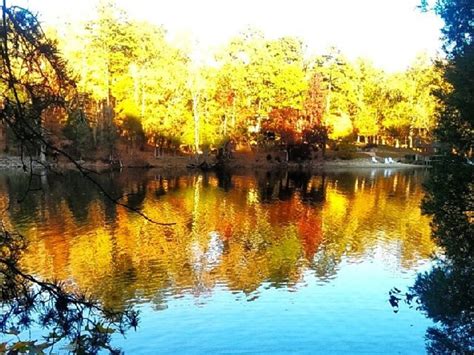 national science review,review官网