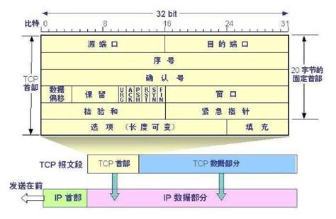 TCP报文格式,tcp报文