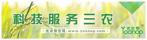 农资加盟店需多少钱,加盟农资需要多少钱