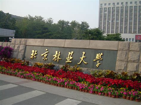 艺校学什么专业好,大学报什么专业好