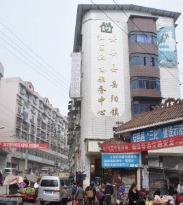 湖南岳阳属于哪个区,岳阳哪个区好