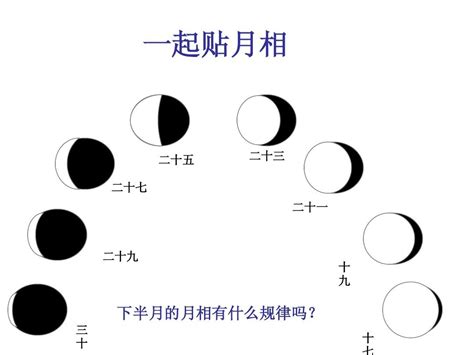 小学科学六年级下册期末复习资料,六年级科学月相的变化与什么有关