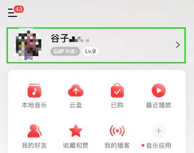 网易云音乐音效在哪里,不考虑会员和音效