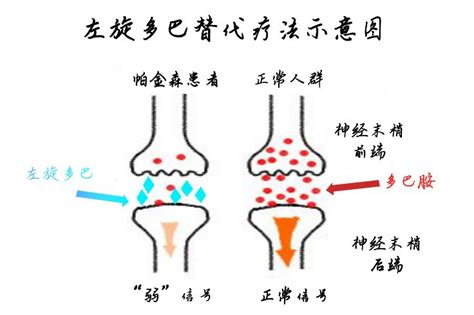 医院门诊各个科室及岗位职责全,门诊有什么岗位