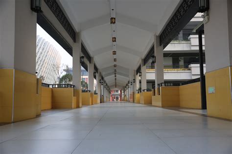 湖南师大官网,华中师范VS湖南师范大学