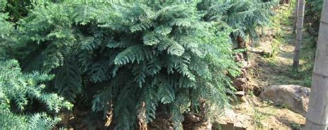 轨道学校可以找什么工作,在学校里找什么工作怎么办