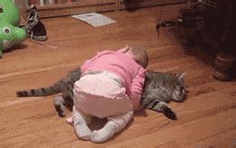 为何不能给狗狗染毛给狗染毛是否有危害,给狗狗耳朵染色多少钱