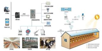 企业信息管理系统的创建,如何建立企业管理信息系统